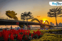 Du lịch Đà Nẵng Hội An ngắm thành phố đáng sống nhất Việt Nam về đêm