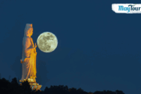 Du lịch Đà Nẵng Hội An ngắm thành phố đáng sống nhất Việt Nam về đêm