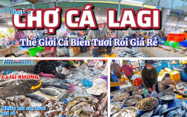 Khám phá tour lagi 2 ngày 1 đêm cùng du lịch MayTour, nghỉ dưỡng tại resort Đất Lành