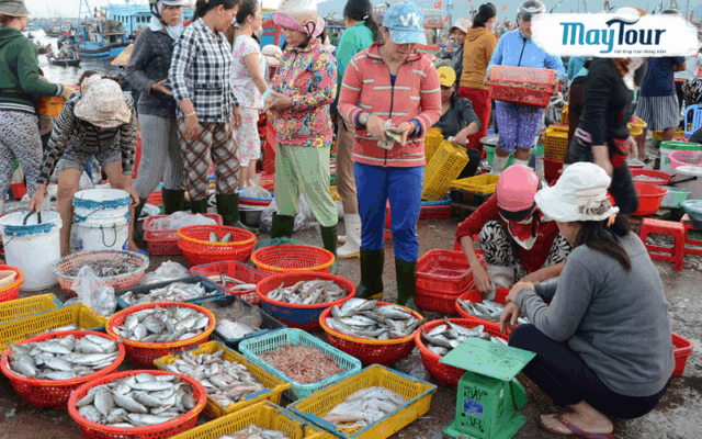 Khám phá Chợ Lagi – thiên đường hải sản tươi sống Bình Thuận