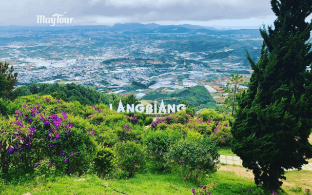 Tour Đà Lạt 3 ngày 3 đêm – trải nghiệm săn mây, vườn hồng treo gió, Langbiang, Thiền viện Trúc Lâm cùng MayTour.