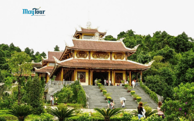 Tour Đà Lạt 3 ngày 3 đêm – trải nghiệm săn mây, vườn hồng treo gió, Langbiang, Thiền viện Trúc Lâm cùng MayTour.