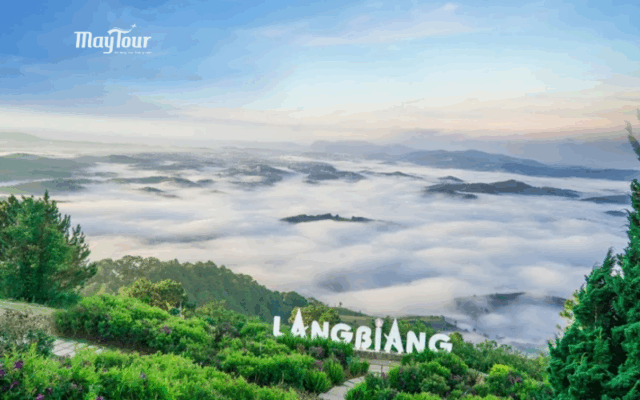 Tour Đà Lạt 3 ngày 3 đêm – trải nghiệm săn mây, vườn hồng treo gió, Langbiang, Thiền viện Trúc Lâm cùng MayTour.