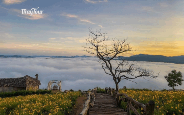 Tour Đà Lạt 3 ngày 3 đêm – trải nghiệm săn mây, vườn hồng treo gió, Langbiang, Thiền viện Trúc Lâm cùng MayTour.