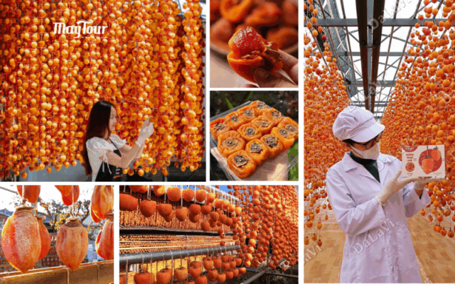 Tour Đà Lạt 3 ngày 3 đêm – trải nghiệm săn mây, vườn hồng treo gió, Langbiang, Thiền viện Trúc Lâm cùng MayTour.