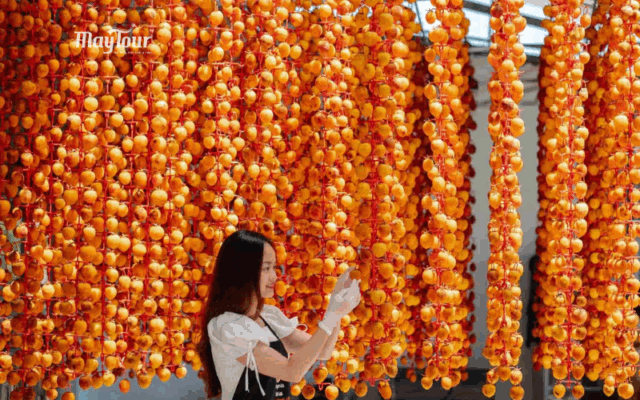 Các địa điểm du lịch Đà Lạt nổi bật trong tour Đà Lạt 3N3Đ cùng MayTour