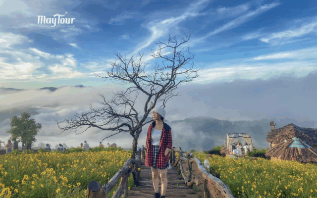 Các địa điểm du lịch Đà Lạt nổi bật trong tour Đà Lạt 3N3Đ cùng MayTour