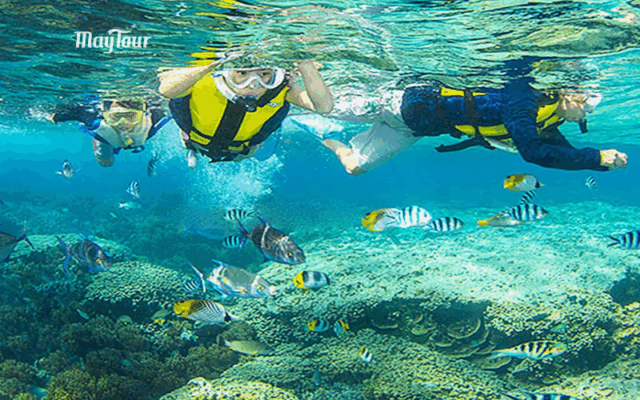 Tour Nha Trang 3 ngày 2 đêm – nghỉ dưỡng khách sạn 5 sao, thưởng thức buffet hải sản và gala dinner sang trọng.