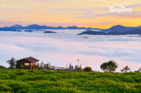 Tour Đà Lạt 3 ngày 3 đêm