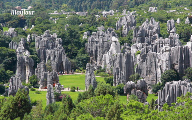 Hình ảnh Tour Hà Nội - Ninh Bình - Sapa 5 ngày 4 đêm, khám phá miền Bắc với cảnh đẹp và văn hóa đặc sắc.