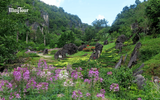 Hình ảnh Tour Hà Nội - Ninh Bình - Sapa 5 ngày 4 đêm, khám phá miền Bắc với cảnh đẹp và văn hóa đặc sắc.