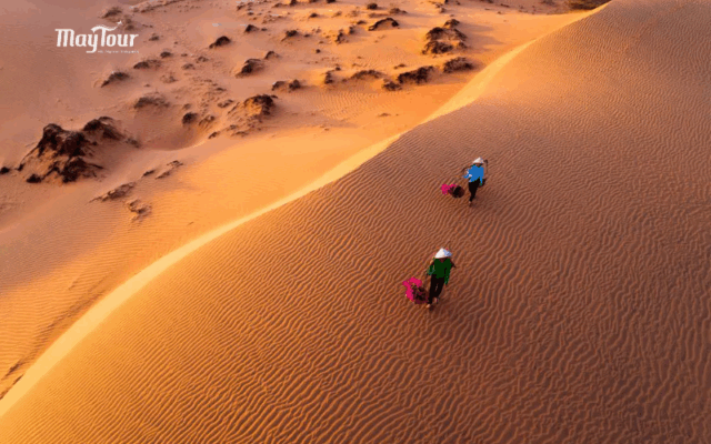 Tour Mũi Né 2 ngày 1 đêm trọn gói cùng Du lịch MayTour – hành trình khám phá NovaWorld Phan Thiết, Đồi Cát Hồng, Mango Beach và nghỉ dưỡng tại resort 3 sao