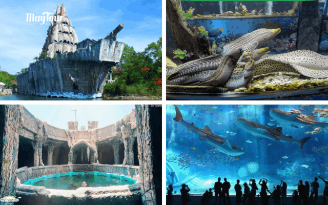 Tour du lịch Nha Trang 3 ngày 2 đêm trọn gói cùng MayTour – khám phá biển đảo, tham quan city tour Nha Trang, trải nghiệm resort nghỉ dưỡng và Gala Dinner sôi động.