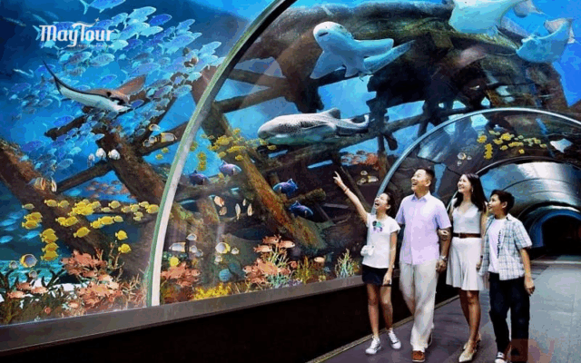 Tour du lịch Nha Trang 3 ngày 2 đêm trọn gói cùng MayTour – khám phá biển đảo, tham quan city tour Nha Trang, trải nghiệm resort nghỉ dưỡng và Gala Dinner sôi động.