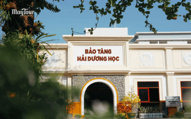 Tour du lịch Nha Trang 3 ngày 2 đêm trọn gói cùng MayTour – khám phá biển đảo, tham quan city tour Nha Trang, trải nghiệm resort nghỉ dưỡng và Gala Dinner sôi động.