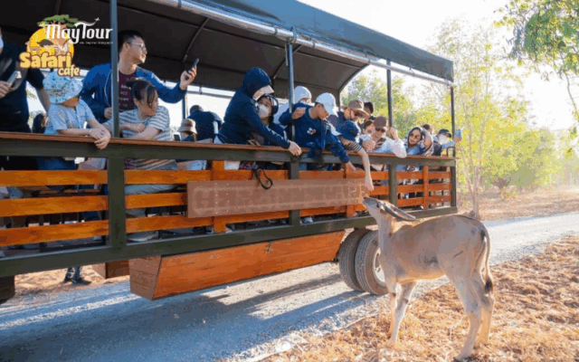 Tour Phan Thiết Mũi Né trọn gói 2 ngày 1 đêm cùng MayTour