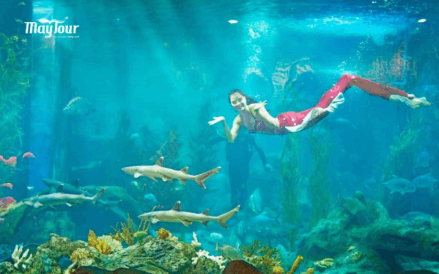 tour phú quốc 4 ngày 3 đêm cùng maytour trọn gói 2025