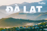 Tour Đà Lạt Tết 2026 – Tour 2 Ngày 2 Đêm từ TP.HCM | Giá Tết Cực Tốt