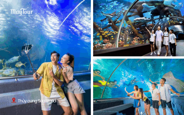 VinWonders Nha Trang – khu vui chơi hàng đầu trong các địa điểm du lịch Nha Trang không thể bỏ qua năm 2025