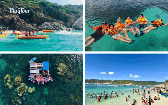 Lặn ngắm san hô tuyệt đẹp khi du lịch Vĩnh Hy Bình Hưng