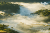 Du khách trải nghiệm tour Đà Lạt 3n3đ trọn gói từ TP.HCM ucnfg MayTour