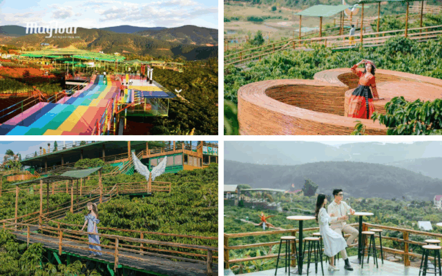 Cà phê Mê Linh view hồ đẹp – điểm dừng chân yêu thích trong tour Đà Lạt Tết 2026