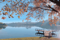 Tour Đà Lạt 3N3Đ giá siêu tiết kiệm – hành trình trọn gói khám phá thành phố ngàn hoa cùng MayTour.