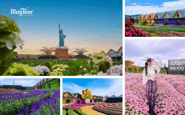 Làng Hoa Vạn Thành rực rỡ – điểm du xuân đẹp nhất tour Đà Lạt 2N2Đ từ TP.HCM