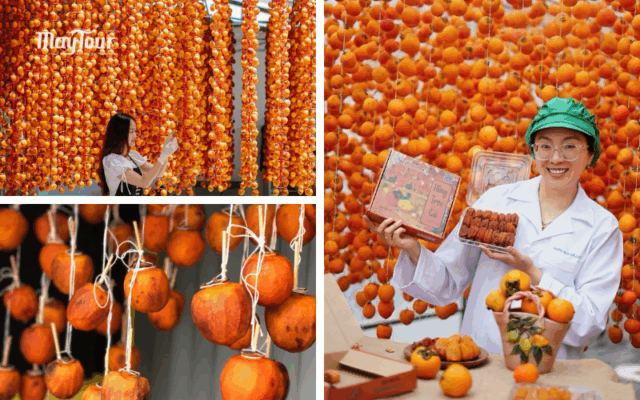 Hồng treo gió Đà Lạt – điểm dừng chân yêu thích khi đi tour Đà Lạt 2N2Đ từ TP.HCM