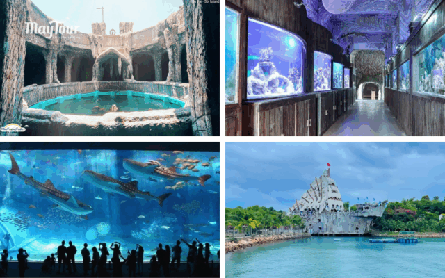 Thủy Cung Trí Nguyên – điểm tham quan nổi bật của tour đảo Bình Hưng 