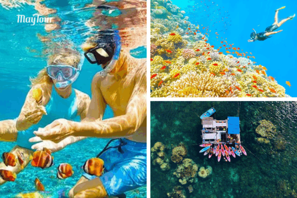 Du khách lặn biển nhìn san hô trong nước xanh nhìn thấy đáy – tour Nam Du lặn ngắm san hô