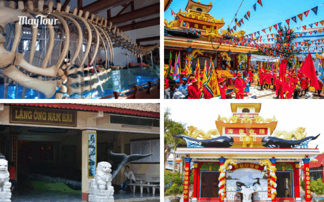Bộ xương cá voi khổng lồ tại Dinh Nam Hải Nam Du – tour đảo Nam Du 3 ngày 3 đêm