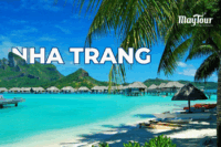 Tour Nha Trang 2 ngày 2 đêm giá tốt, khám phá thành phố biển xinh đẹp