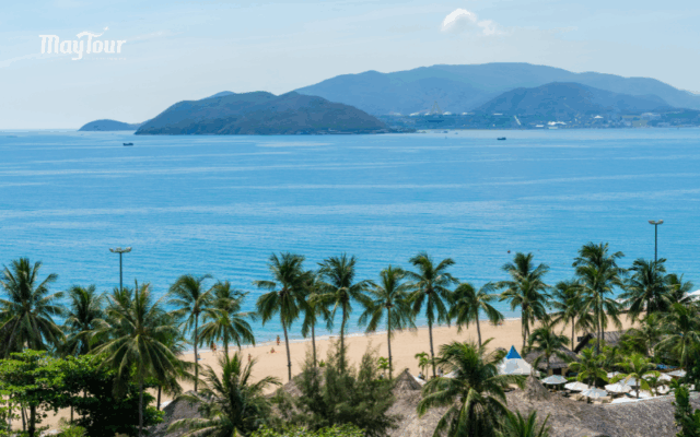 Check-in Vườn Nho Ninh Thuận tươi xanh khi đi tour Nha Trang 3N3Đ khởi hành thứ 5