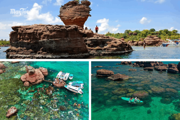 Hòn Gầm Ghì thiên đường san hô – điểm lặn ngắm san hô đẹp nhất trong tour Phú Quốc 3N3Đ từ TP.HCM