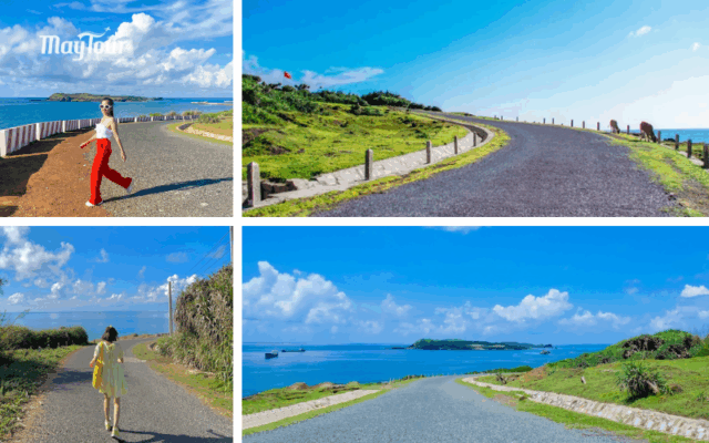 Dốc Phượt cung đường biển đẹp trong tour Phú Quý trọn gói 2 ngày 2 đêm