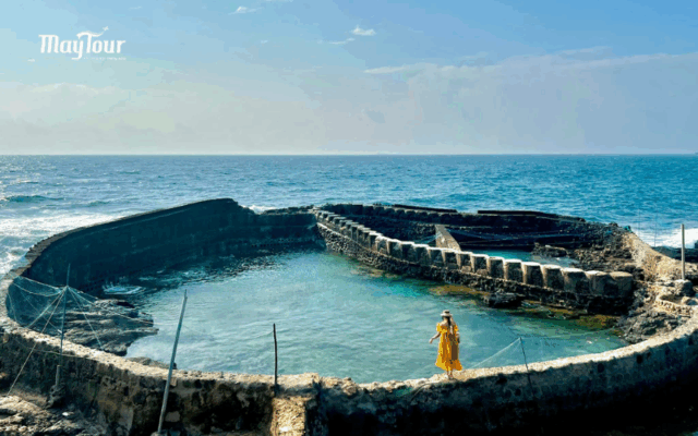 Trải nghiệm tour Phú Quý trọn gói 2 ngày 2 đêm giá tốt cùng MayTour