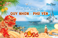 Tour Quy Nhơn Phú Yên 3N3Đ từ TP.HCM | Mũi Điện – Kỳ Co Eo Gió + Xiếc Hải Cẩu