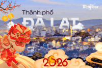 Tour Đà Lạt 3N3Đ Trọn Gói Từ TP.HCM | Săn Mây, Langbiang, Giao Lưu Cồng Chiêng