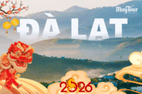 Tour Đà Lạt Tết 2026 – Tour 2 Ngày 2 Đêm từ TP.HCM | Giá Tết Cực Tốt