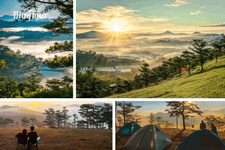 Đồi Đa Phú – nơi ngắm bình minh Đà Lạt đẹp nhất với biển mây dày và view 360 độ
