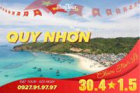 Tour Quy Nhơn - Phú Yến 3 NGÀY 3 ĐÊM | LẠC BƯỚC CHỐN HOA VÀNG BIỂN XANH