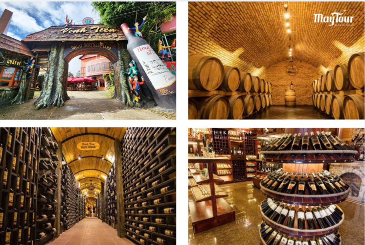 Hầm rượu vang Vĩnh Tiến – khám phá quy trình sản xuất rượu vang Đà Lạt