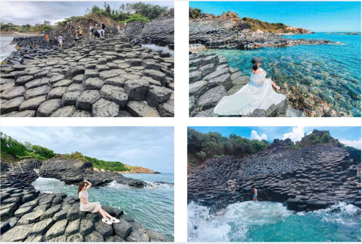 Gành Đá Đĩa – Kỳ quan thiên nhiên trong tour Quy Nhơn 3 ngày 3 đêm