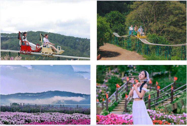 Pinky Valley Đà Lạt – trải nghiệm vui chơi ngoài trời hấp dẫn