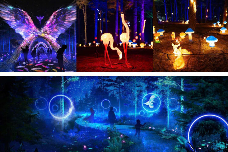 Công viên Ánh Sáng Delight Park – không gian nghệ thuật ánh sáng độc đáo