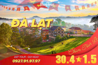 Tour Du Lịch Đà Lạt 3 ngày 3 đêm | BẢN TÌNH CA TRÊN CAO NGUYÊN