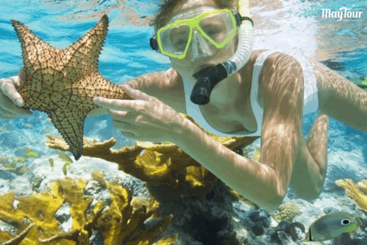 Trải nghiệm lặn ngắm san hô kỳ thú trong tour Vĩnh Hy