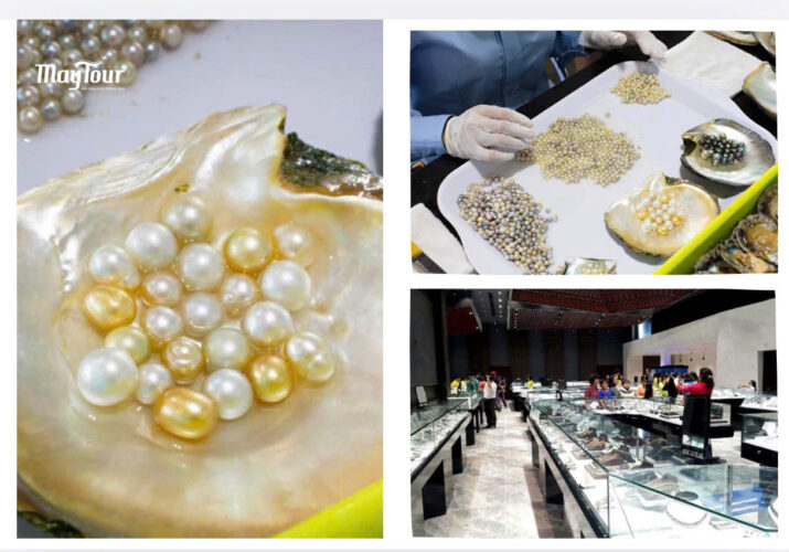 Ngọc trai Phú Quốc – Trải nghiệm nuôi cấy thực tế