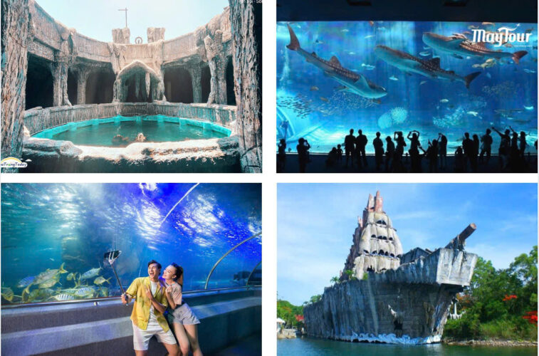 Thủy cung Trí Nguyên – điểm tham quan độc đáo giữa lòng biển